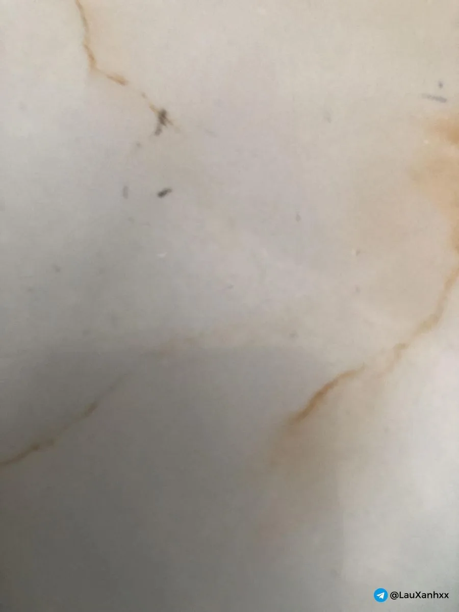 MAI PHƯƠNG VÚ BÍM NON TƠ HỒNG HÀO CHIỀU KHÁCH TỚI BẾN