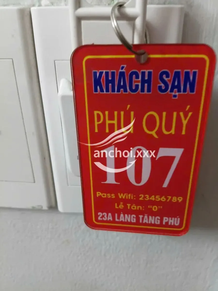 NGÂN KHÁNH - GÁI DÂM - CHIỀU KHÁCH HẾT MÌNH