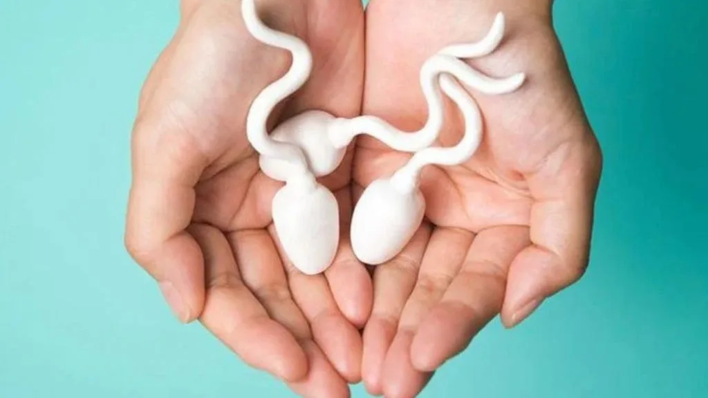 Xuất tinh là gì? Quy trình xuất tinh và những bất thường
