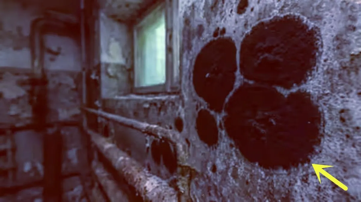 Một sinh vật đột biến đã được phát hiện ở Chernobyl, sở hữu những khả năng đặc biệt, bao gồm khả năng ăn bức xạ hạt nhân