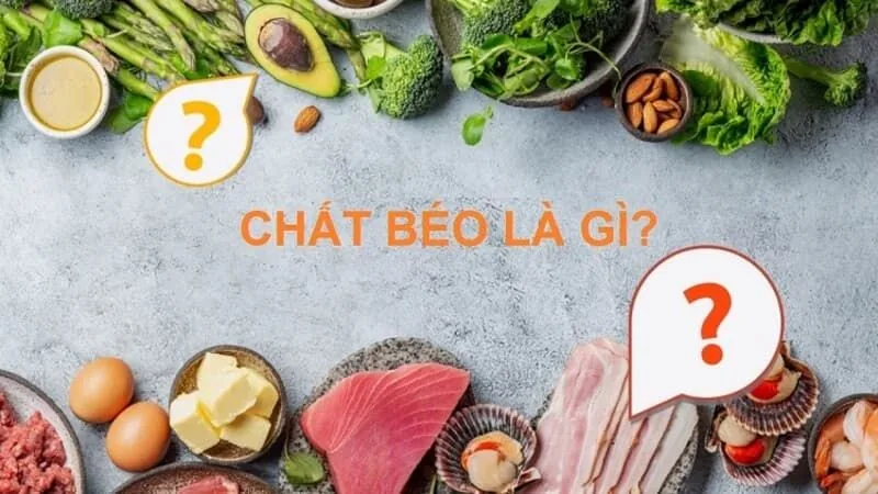 Các loại chất béo: Định nghĩa, vai trò và lượng chất béo cần tiêu thụ hằng ngày