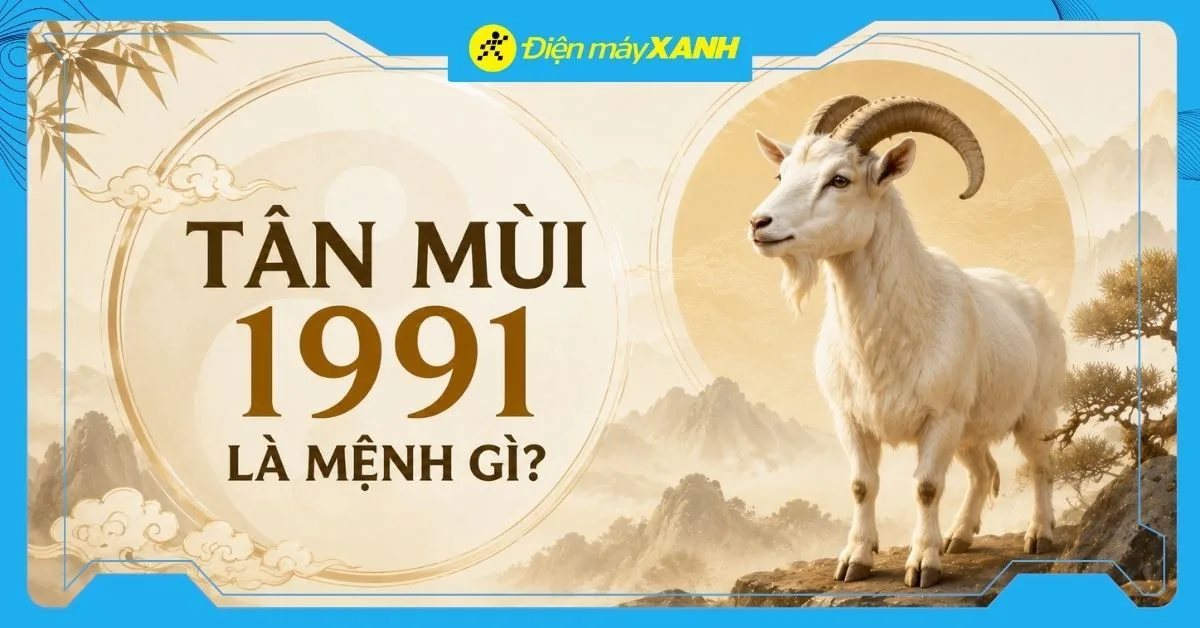 Tân Mùi 1991 là mệnh gì? Hợp với tuổi nào? Tư vấn chọn mua đồ hợp mệnh