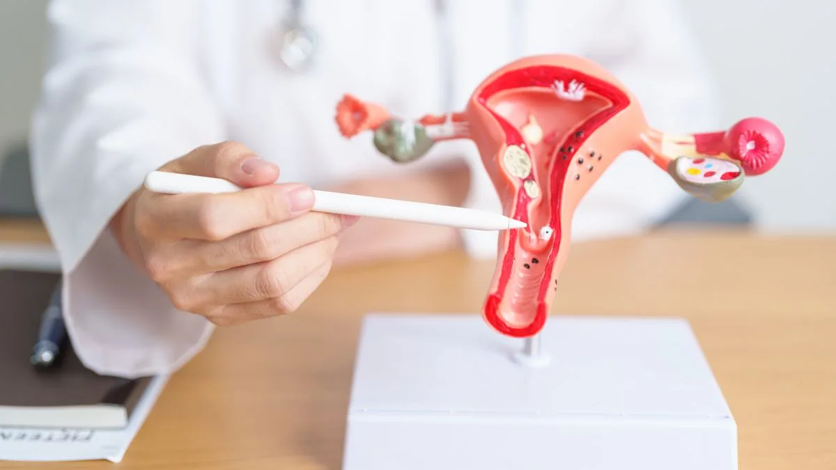 Dấu hiệu đa nhân xơ tử cung và những điều chị em cần lưu ý