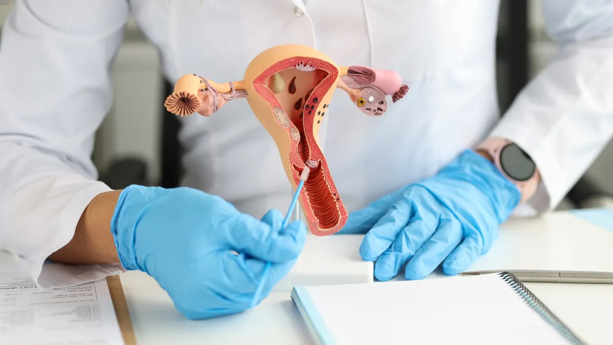 Adenomyosis là bệnh gì? Nguyên nhân, triệu chứng, phương pháp chẩn đoán và điều trị