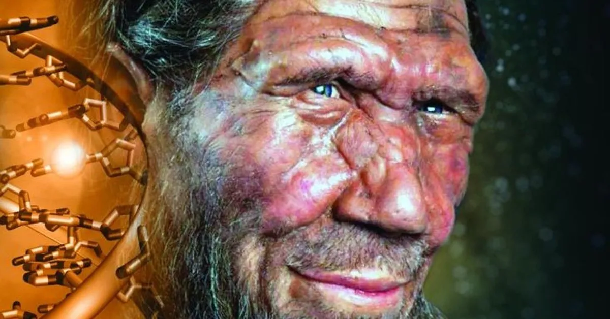 Bí mật giải mã 'gương mặt thô ráp' của người Neanderthal: Tất cả nằm trong vùng DNA tối của chúng ta