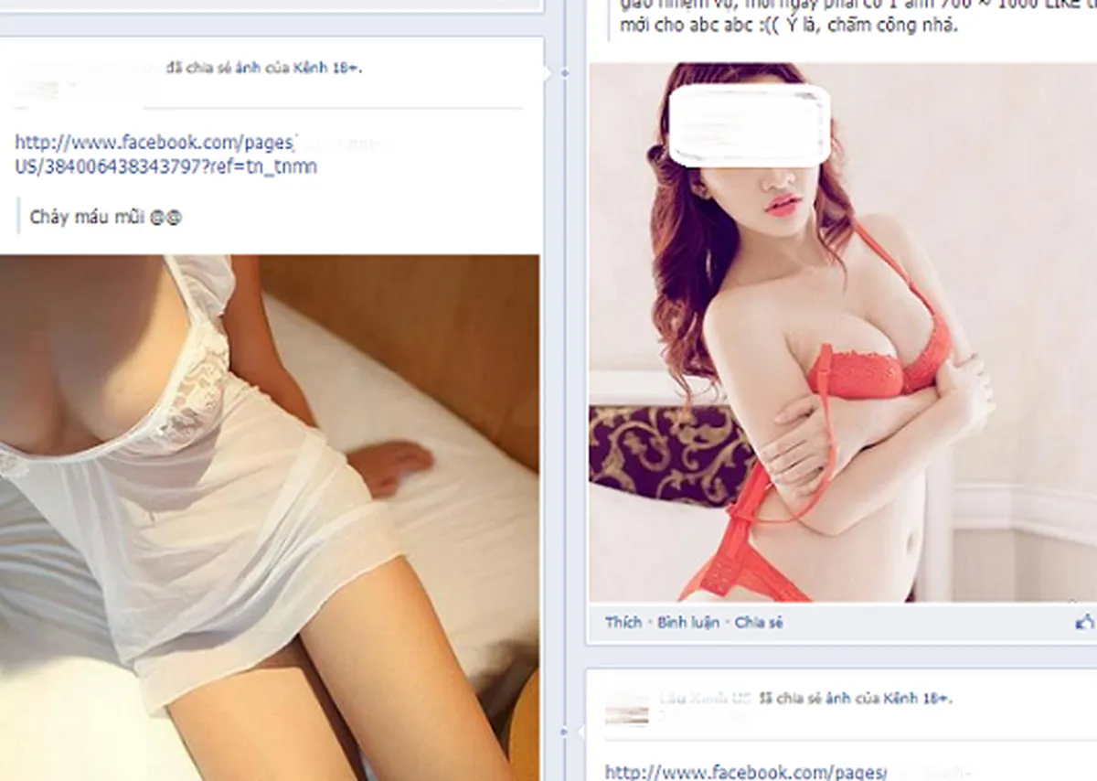 Nạn câu like bằng sex trên các group Facebook Việt Nam