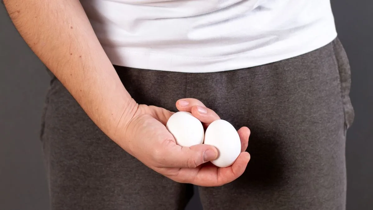 Tinh hoàn là gì? Cấu tạo, chức năng và các bệnh lý nam giới cần biết