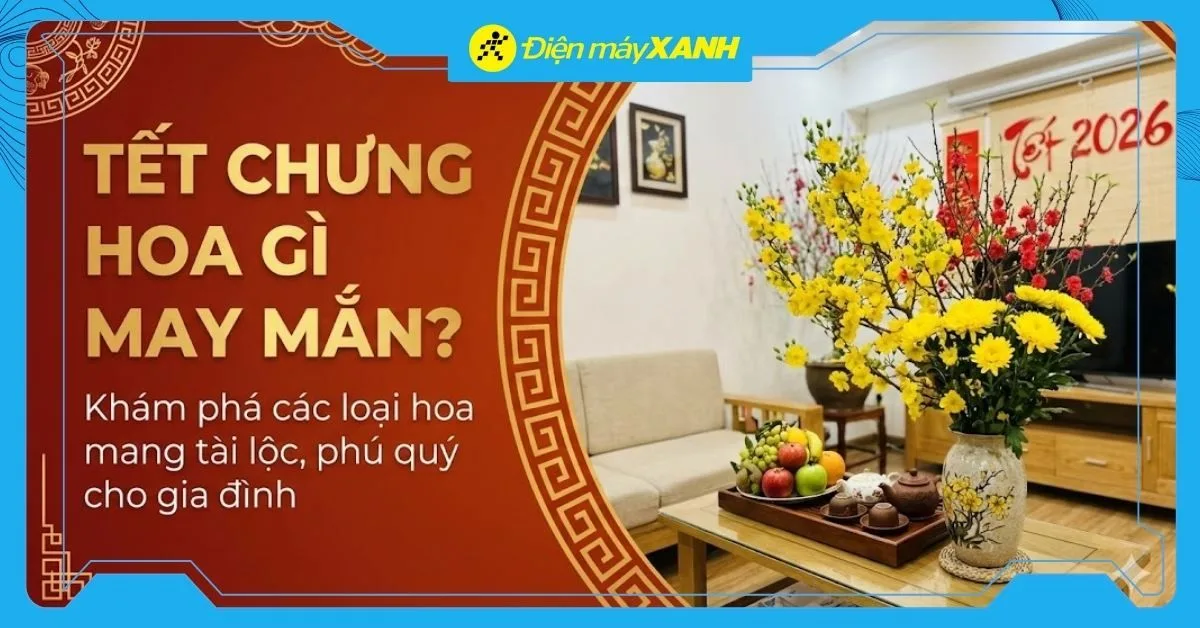 Tết chưng hoa gì may mắn? 12+ hoa tết rước tài lộc, phú quý năm 2026