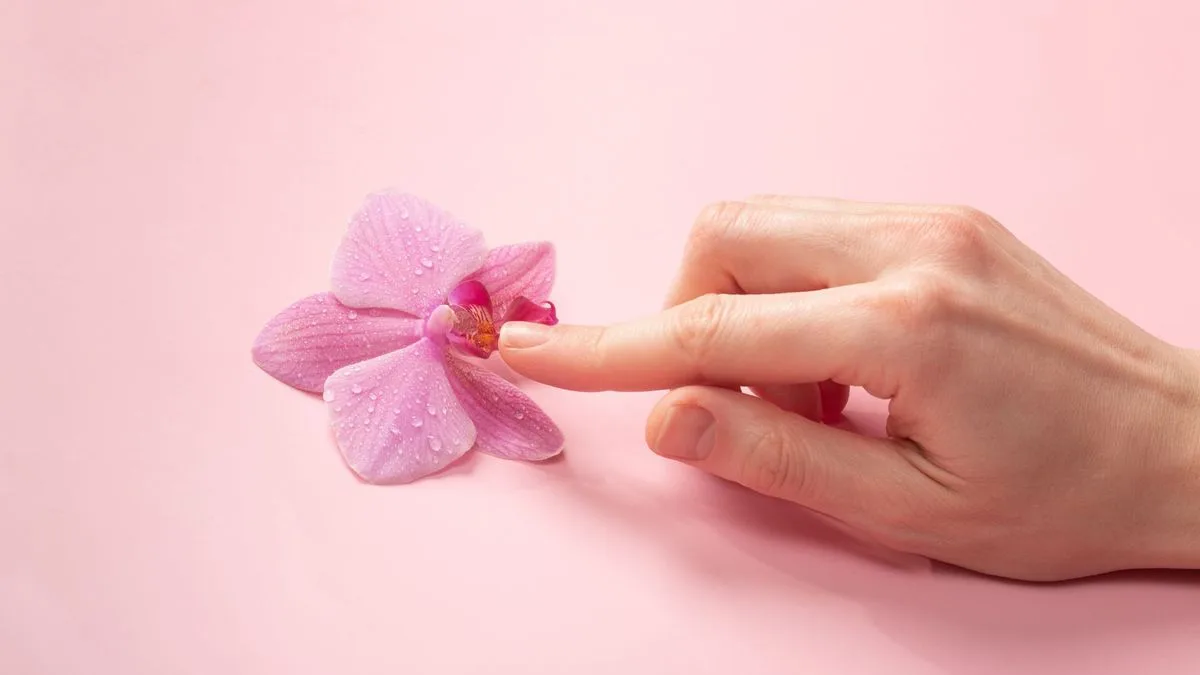 Âm đạo là gì? Âm đạo nằm ở đâu và có chức năng gì?
