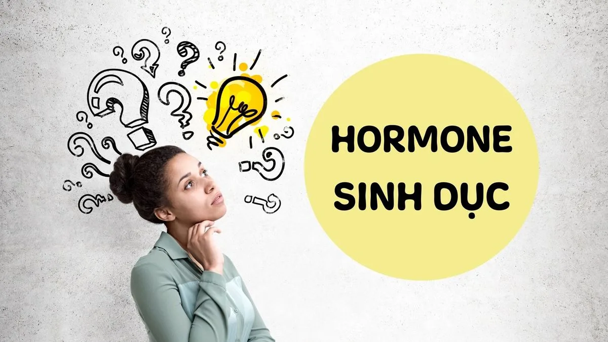 Hormone sinh dục là gì? Chức năng quan trọng của hormone sinh dục đối với cơ thể