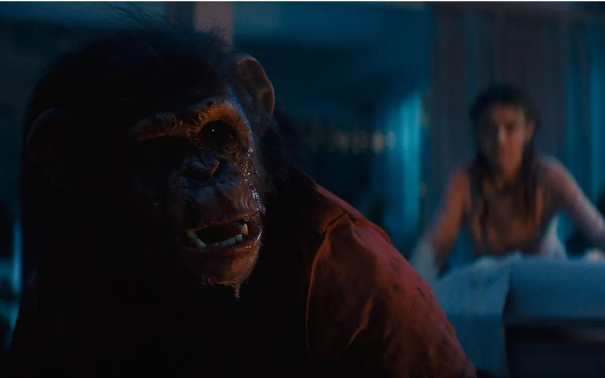 "Primate" 2026: Cơn ác mộng đẫm máu từ thú cưng hóa quái vật khơi dậy niềm vui nguyên thủy của dòng phim kinh dị