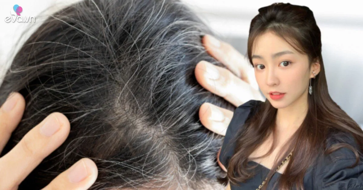 Nhổ một sợi tóc bạc có giúp mọc lại 3 sợi đen? Chị em áp dụng 6 ăn - 4 làm để mái tóc vừa dày vừa đen bóng