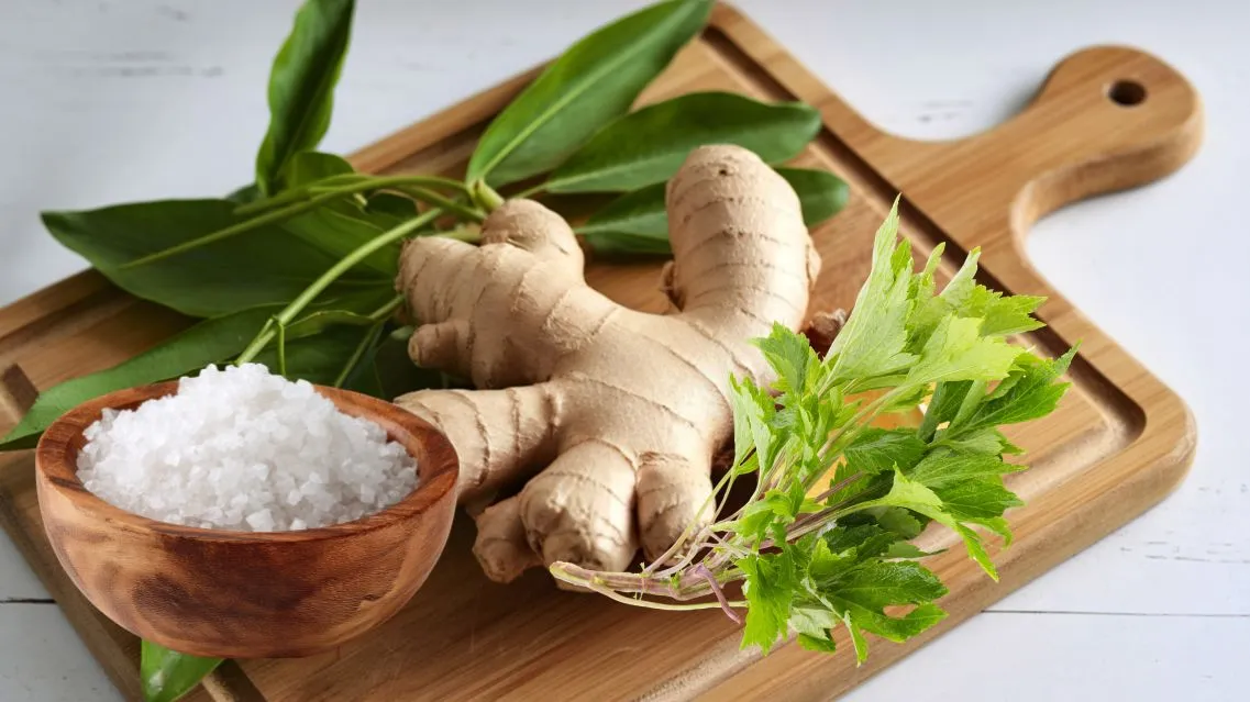 Gừng muối ngải cứu chữa được bệnh gì? Công dụng nhiều người quan tâm