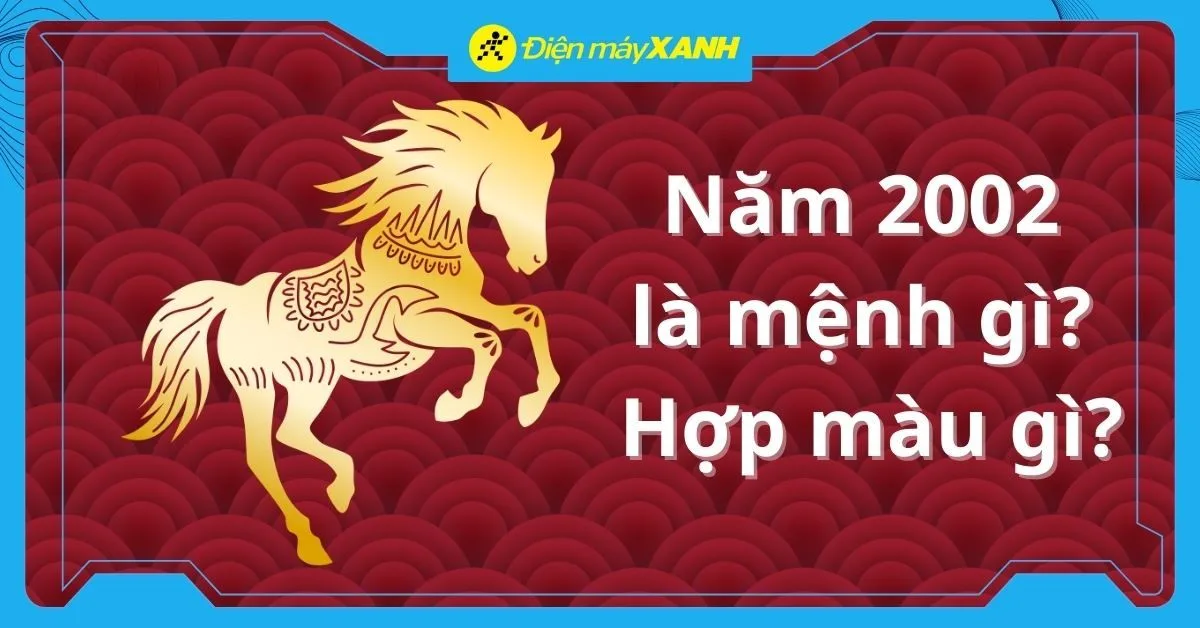 Nhâm Ngọ 2002 là mệnh gì? Hợp màu gì? Hợp với tuổi nào?