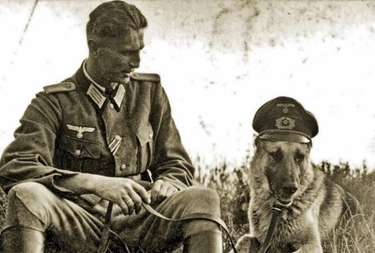 Đội quân chó biết nói của Hitler và những bí mật ít ai biết