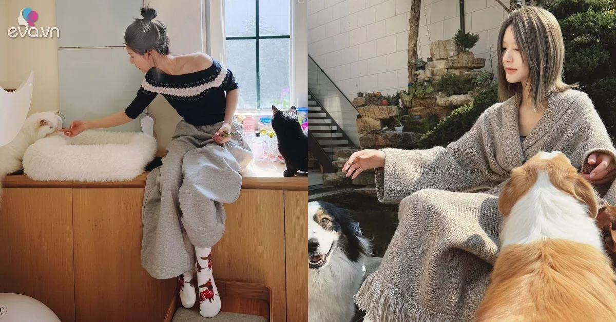Triệu Lộ Tư sau 10 năm mới chọn được màu nhuộm tóc đẹp, chị em kết thân sẽ tăng muôn phần khí chất