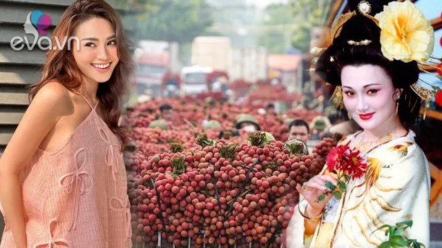Loại quả Việt ở Nhật bán tiền triệu, là "thần dược" dưỡng nhan, chống lão hóa được phi tần xưa rất yêu
