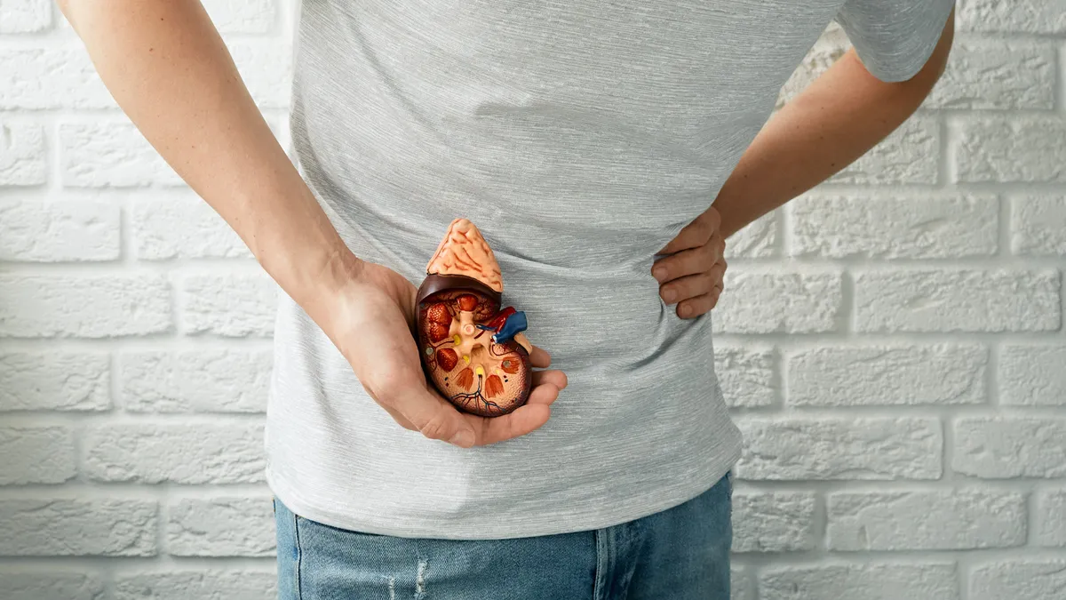 Bị mất 1 quả thận sống được bao lâu? Một số lưu ý khi chăm sóc cơ thể