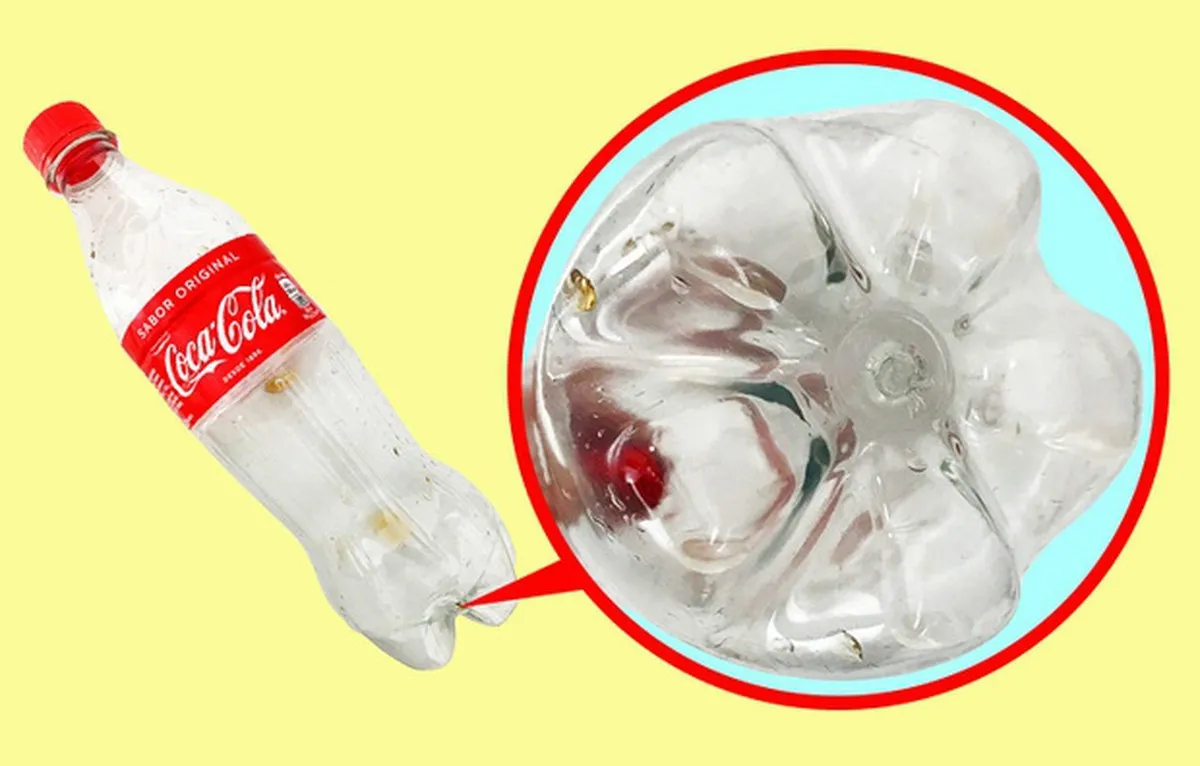 Tại sao hầu hết các chai nước ngọt bằng nhựa đều có cấu trúc hình cánh hoa ở đáy?