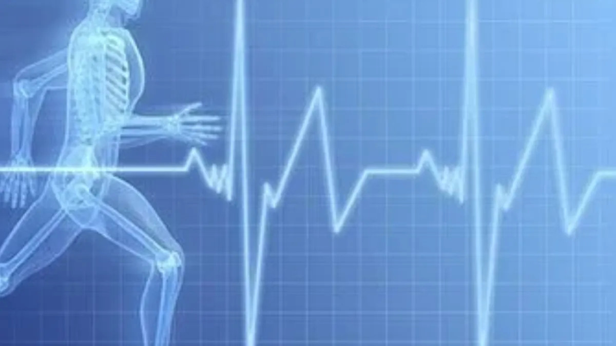Nhịp tim Zone 2: Bí quyết tập luyện để tối ưu sức khỏe tim mạch