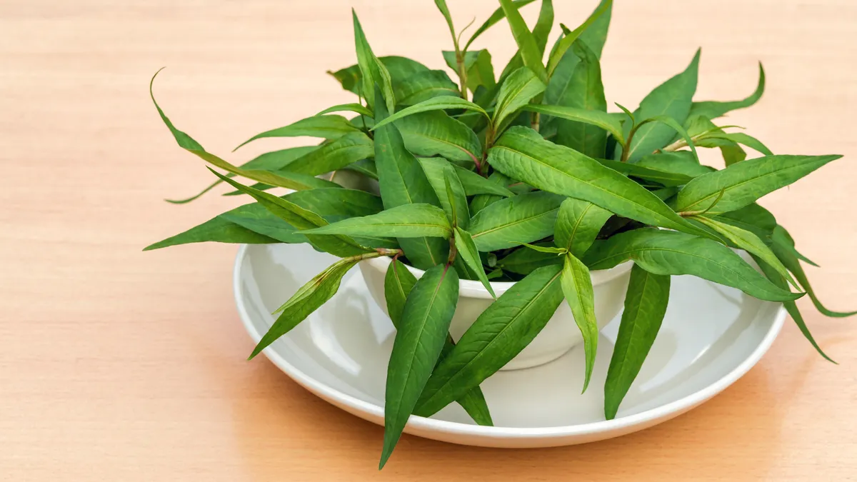 Những thực phẩm gây co bóp tử cung mà phụ nữ mang thai nên tránh