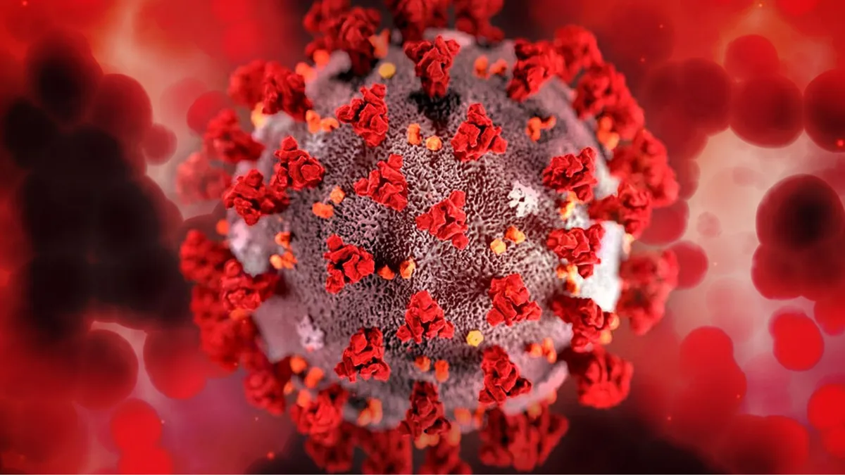 Dương tính với HPV type 12 có nguy hiểm không? Cách phòng ngừa HPV