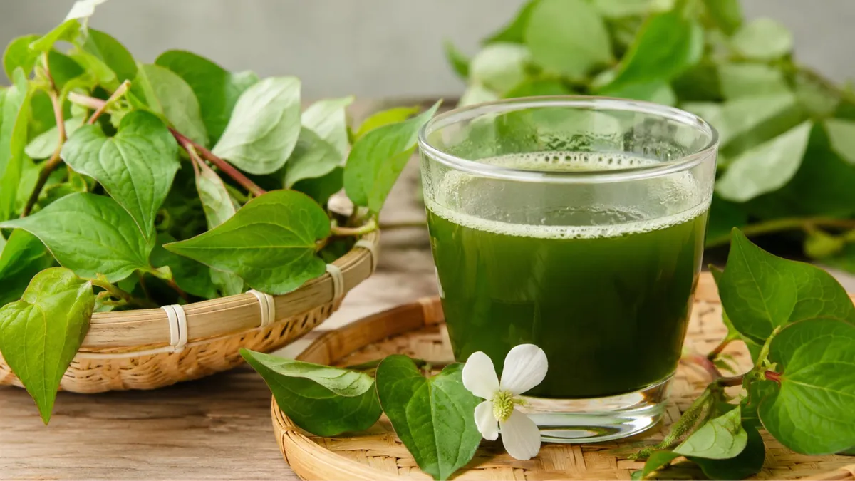 Tăng huyết áp có uống được nước rau diếp cá không? Những lưu ý