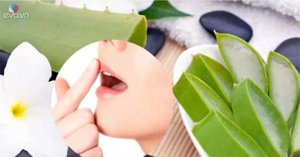 Nha đam và những tác dụng thần kỳ với làm đẹp và sức khỏe