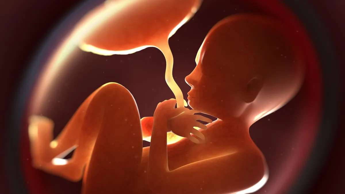 Bánh nhau dày có nguy hiểm không? Giải đáp một số câu hỏi về bánh nhau dày cho mẹ bầu