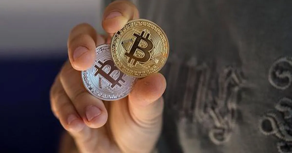Bitcoin, tâm lý bầy đàn và sự trùng hợp đến 91% với kết quả tìm kiếm trên Google