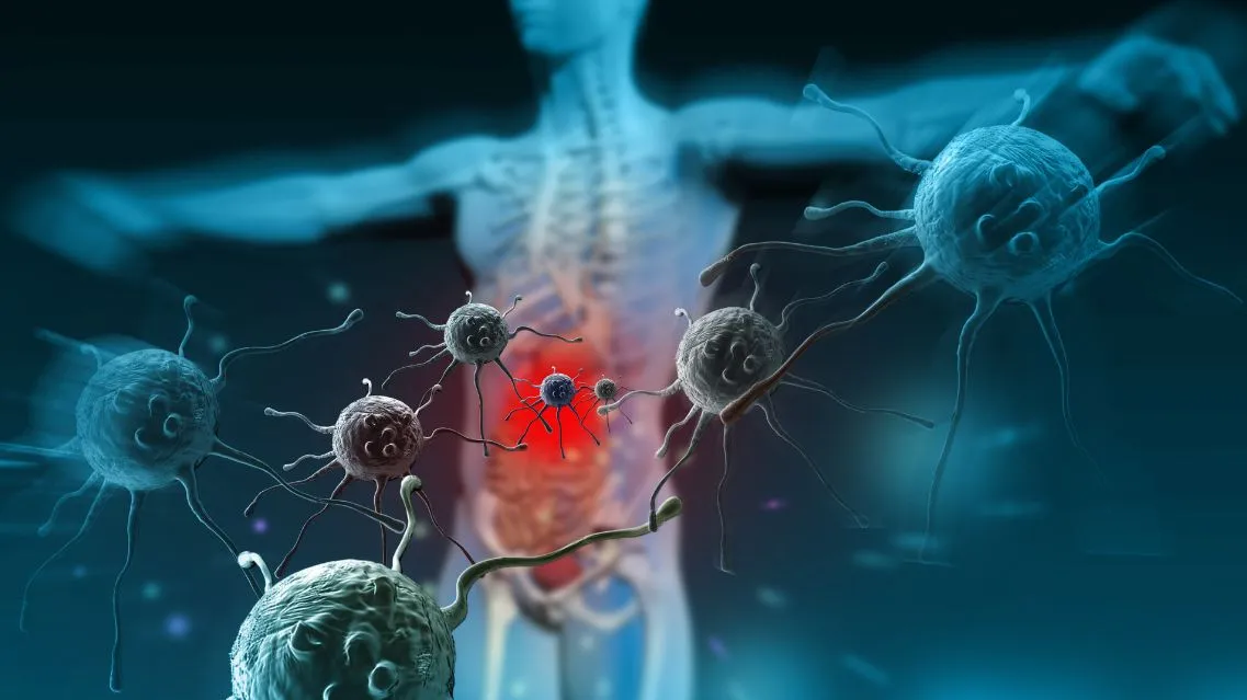 Dung nạp miễn dịch: Vai trò quan trọng trong phòng ngừa dị ứng và tự miễn