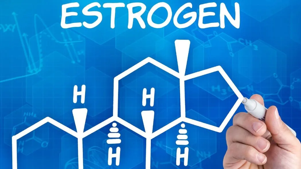 Hormone estrogen: Vai trò và tác dụng đối với cơ thể con người