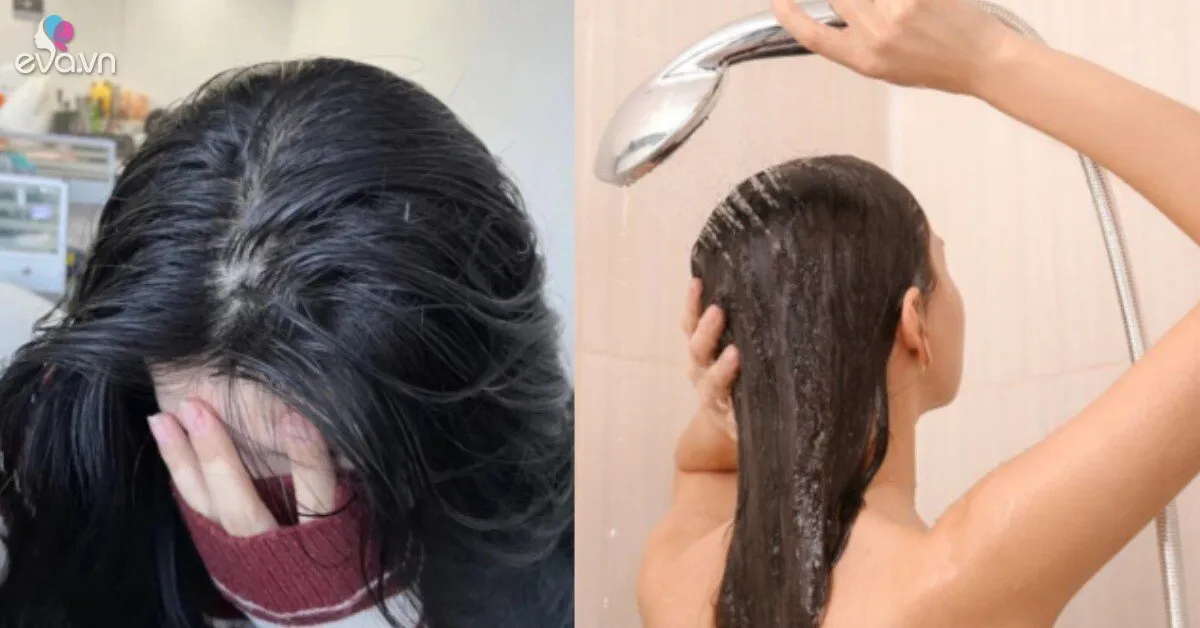 Gội đầu mỗi ngày sao tóc vẫn nhanh bết? 5 thói quen khiến tóc nhanh đổ dầu, đặc biệt cẩn thận với 2 kiểu dầu gội