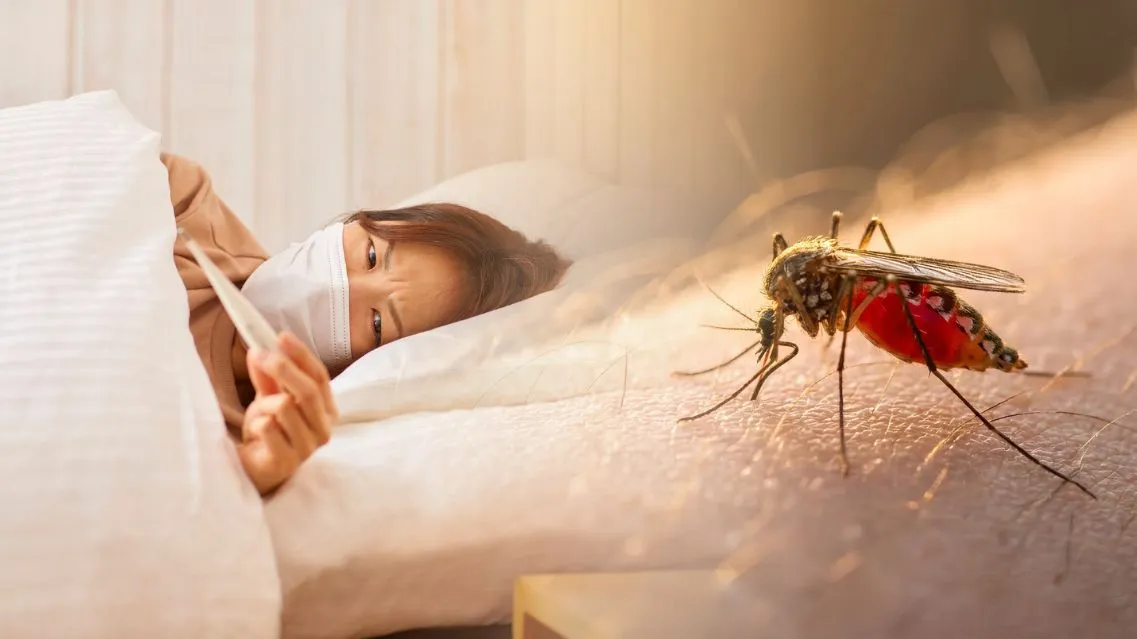 Bệnh sốt xuất huyết có lây qua không khí không? Đường lây truyền chính