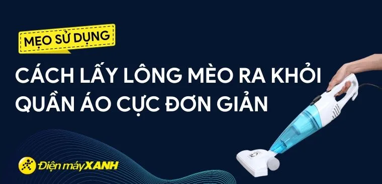 9 cách lấy lông mèo ra khỏi quần áo cực đơn giản, hiệu quả