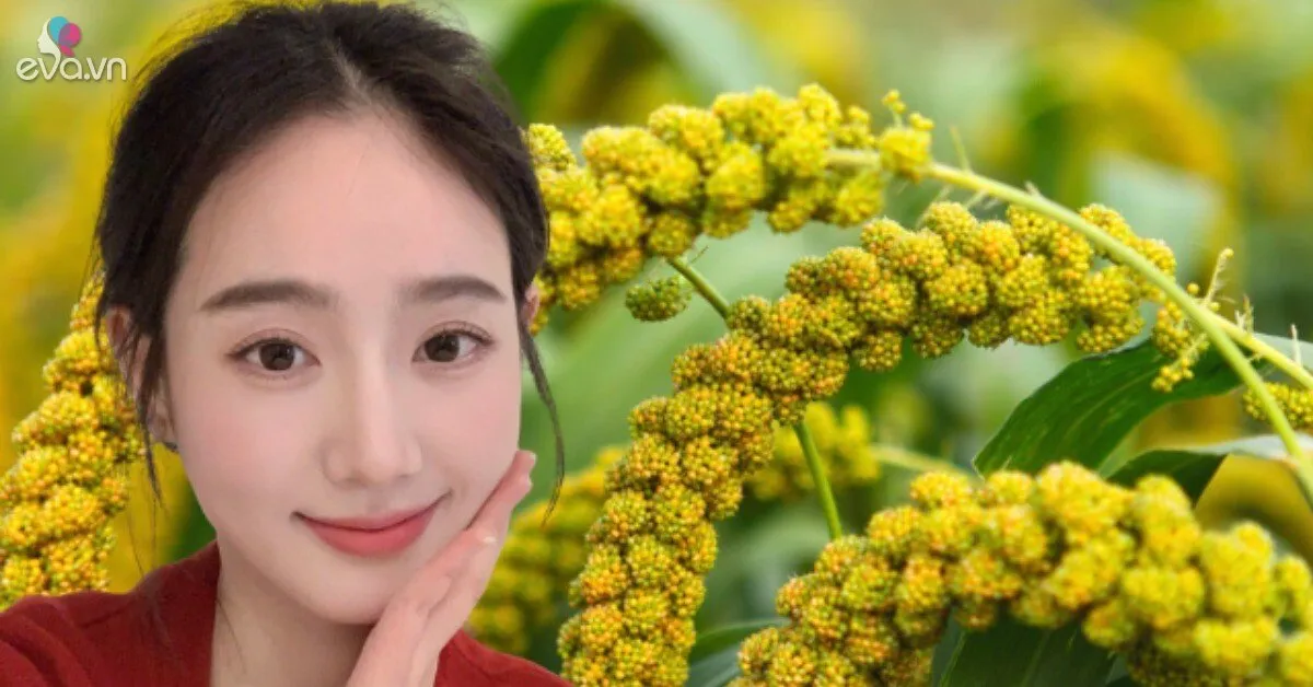 Loại hạt nhỏ xíu được ví như "ngũ cốc vàng": Ăn đều giúp giữ dáng, trẻ lâu, da đẹp thấy rõ