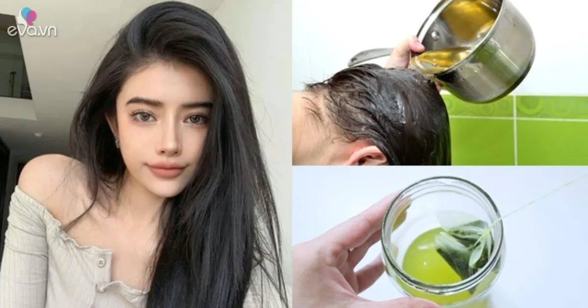 Đun nước lá này để qua đêm, hôm sau đem gội đầu giúp tóc khỏe từ chân tới ngọn, giảm hẳn gãy rụng lại dày mượt như suối