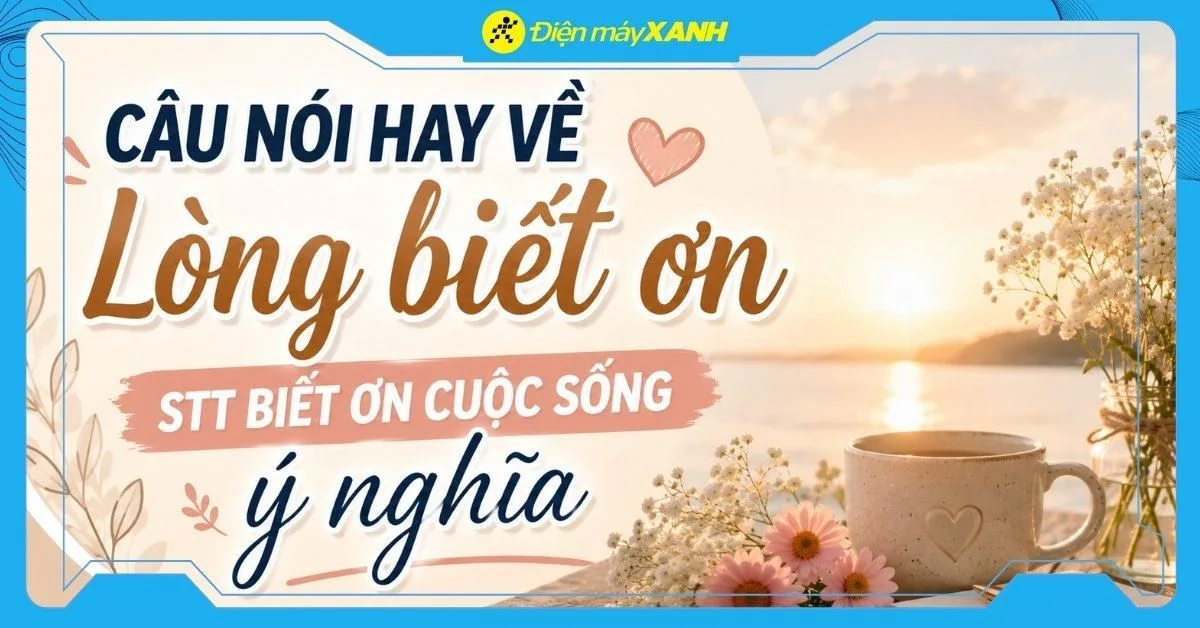 199+ Câu nói hay về lòng biết ơn, STT biết ơn cuộc sống ý nghĩa nhất