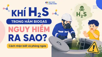 Khí H2S trong hầm biogas nguy hiểm ra sao? Cách nhận biết và phòng ngừa