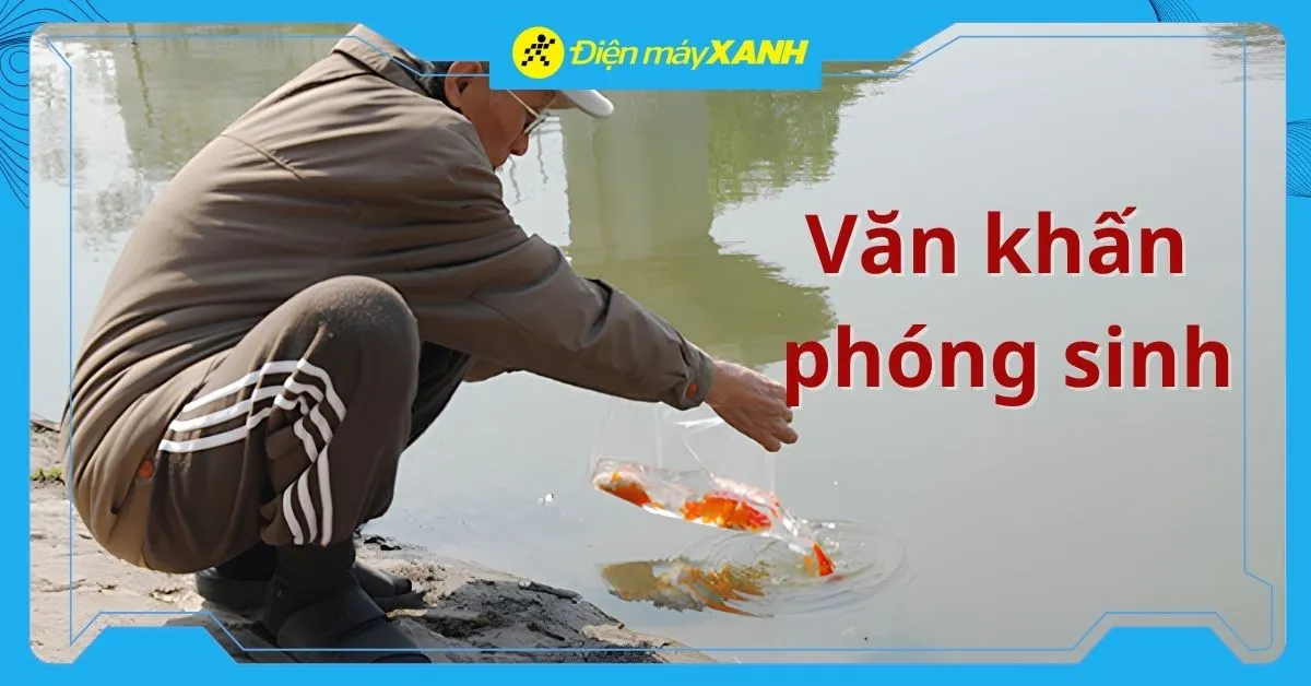 9+ Mẫu văn khấn phóng sinh đơn giản, dễ đọc, đúng và đủ 2026