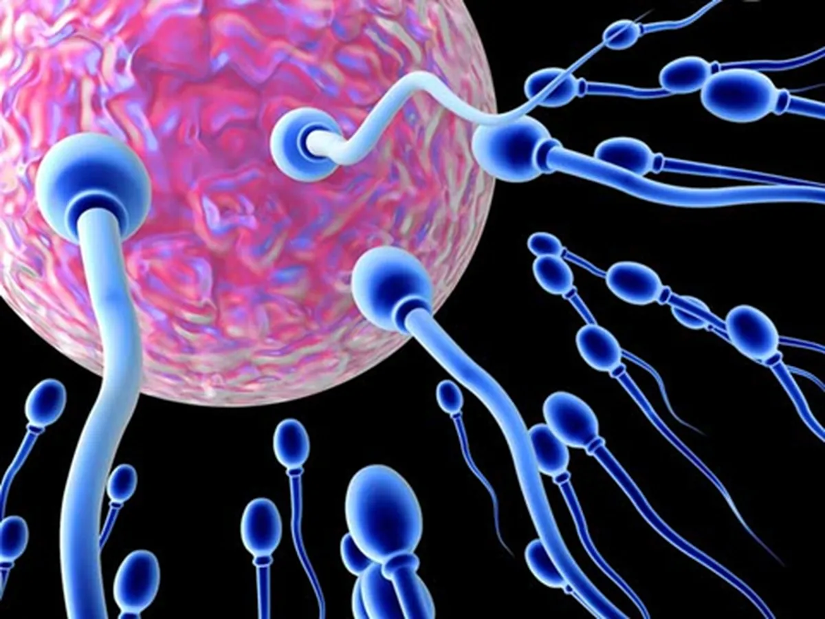 Những điều thú vị có thể bạn chưa biết về tinh trùng của người