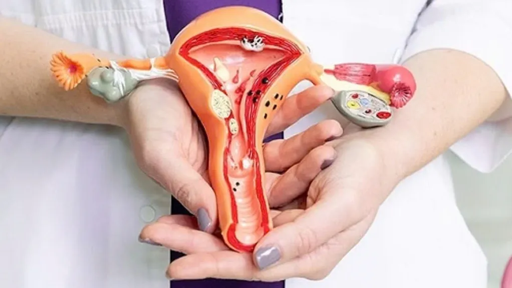 Sự thật về viêm bộ phận sinh dục nữ và cách phòng tránh hiệu quả