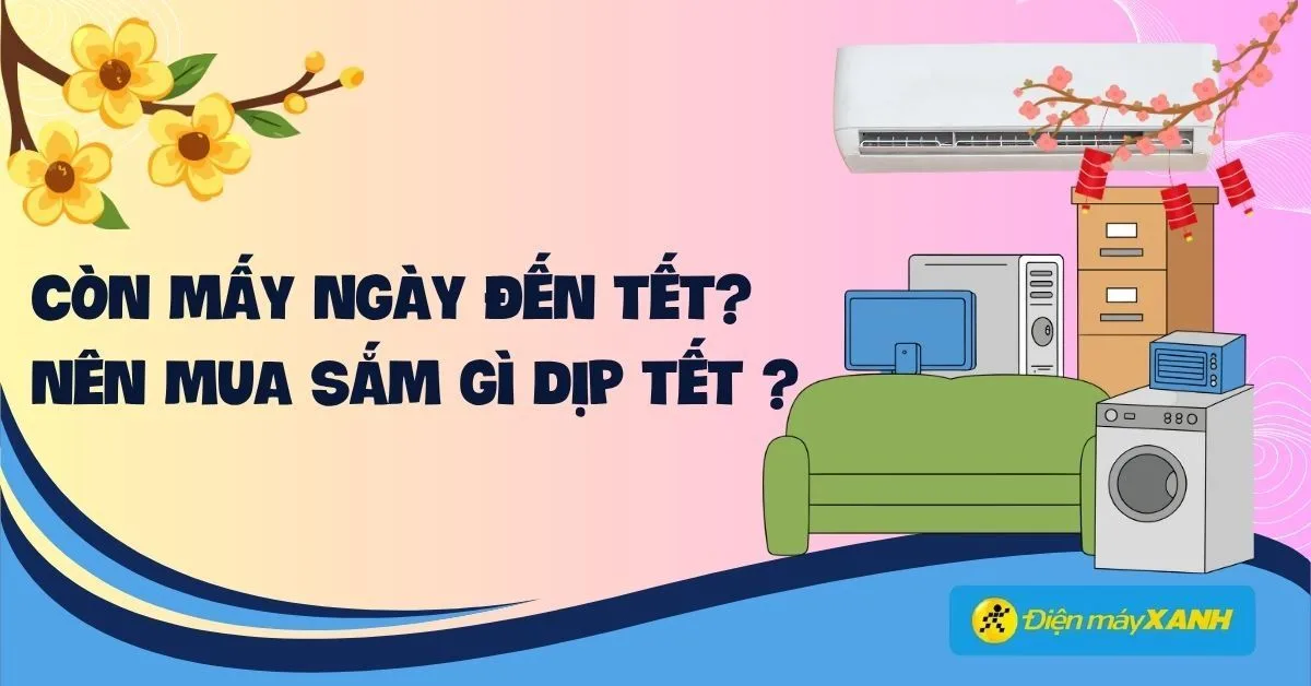Còn bao nhiêu ngày nữa đến tết 2027? Đếm ngược đến Tết Đinh Mùi 2027