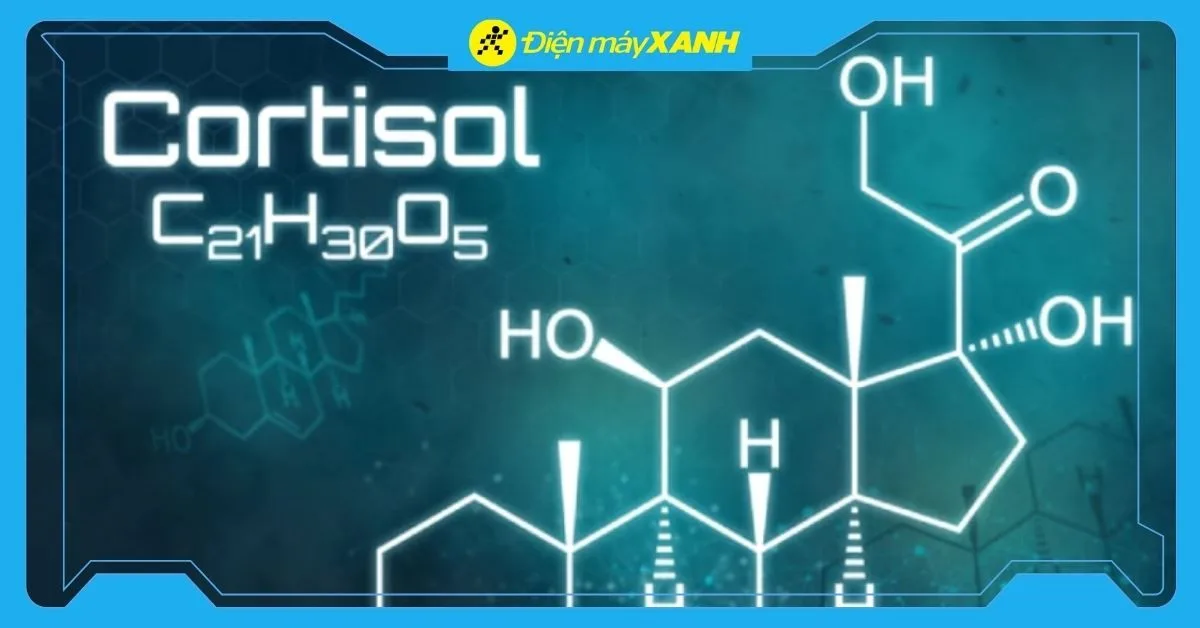 Cortisol là gì? Dấu hiệu và 5 cách giảm Cortisol hiệu quả nhất