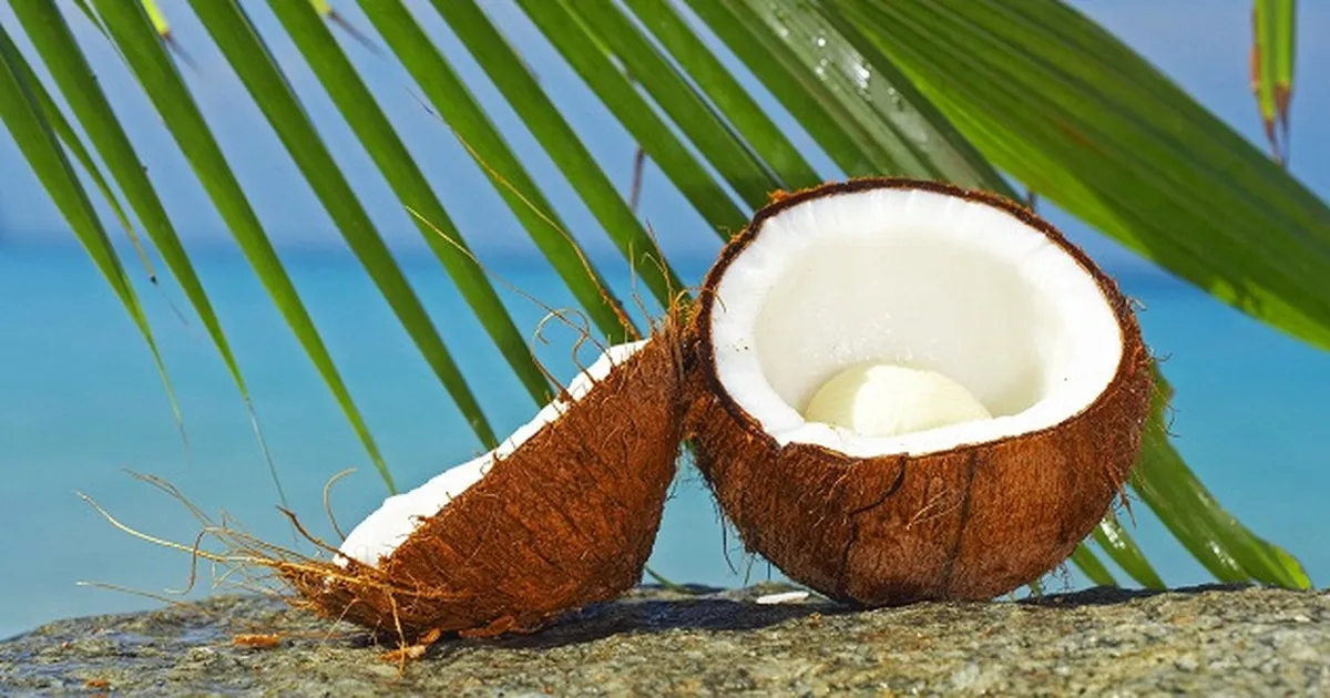 Tìm hiểu một số công dụng thú vị từ cây dừa