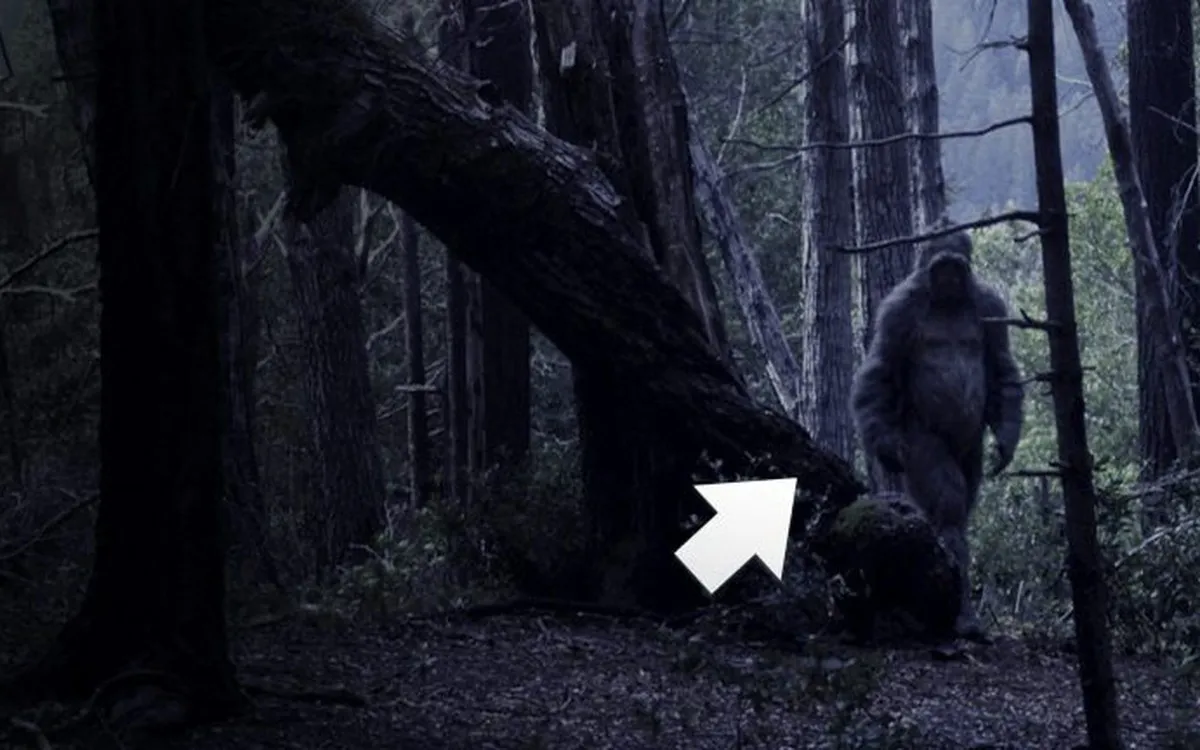 Điều gì sẽ xảy ra nếu Bigfoot thực sự tồn tại?