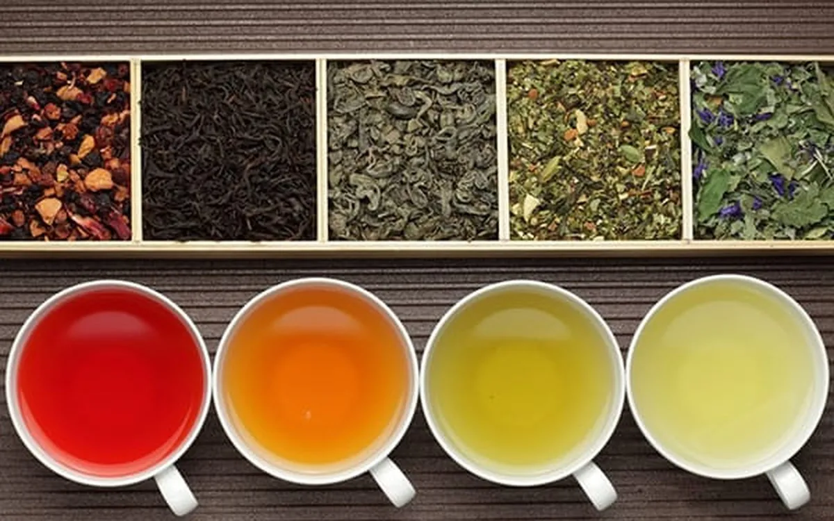 Tại sao ba loại cây trồng chính để sản xuất đồ uống trên thế giới là trà, cà phê và ca cao đều mang vị đắng?