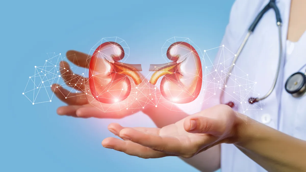 Bị mất 2 quả thận có sống được không? Cách chăm sóc cơ thể khi mất 2 quả thận