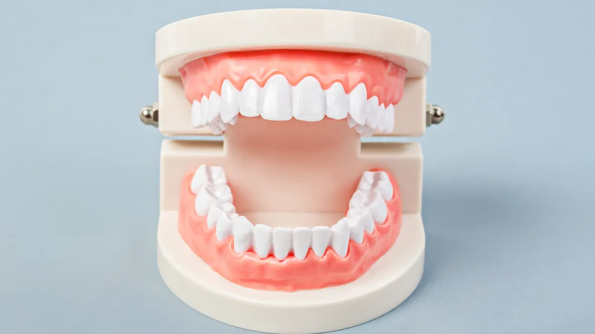 Răng 46 là răng nào? Chức năng và những vấn đề thường gặp