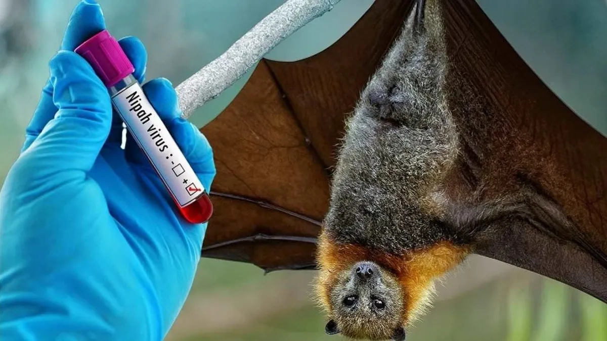 Những virus nguy hiểm nhất thế giới và mức độ đe dọa đối với con người